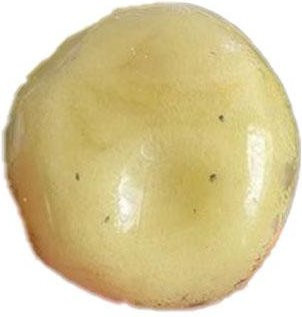 A Family Of Home Textiles Eis-Sand-Squishy-Ball Wassermelonen-Kartoffel-Form, weiches Stressabbau-Fidget-Quetschspielzeug - Bild 1