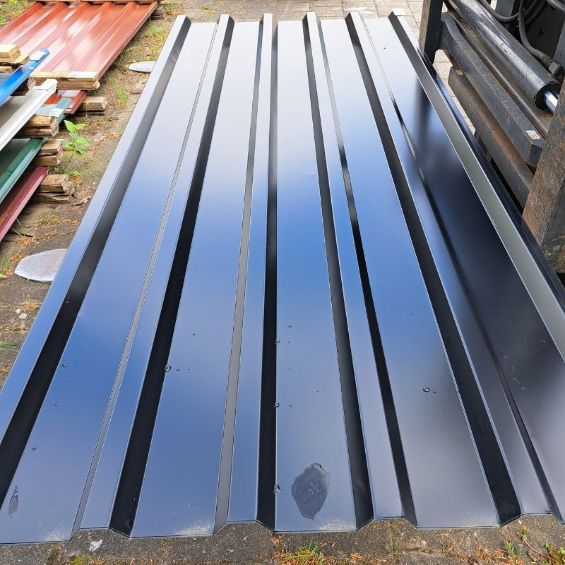 Trapezblech Dach Friedrich von Lien AG Tiefschwarz RAL 9005 Länge: 250 cm - Bild 1