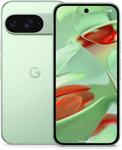 Google Pixel 9 5G Smartphone 128GB Wintergreen - Bild 1