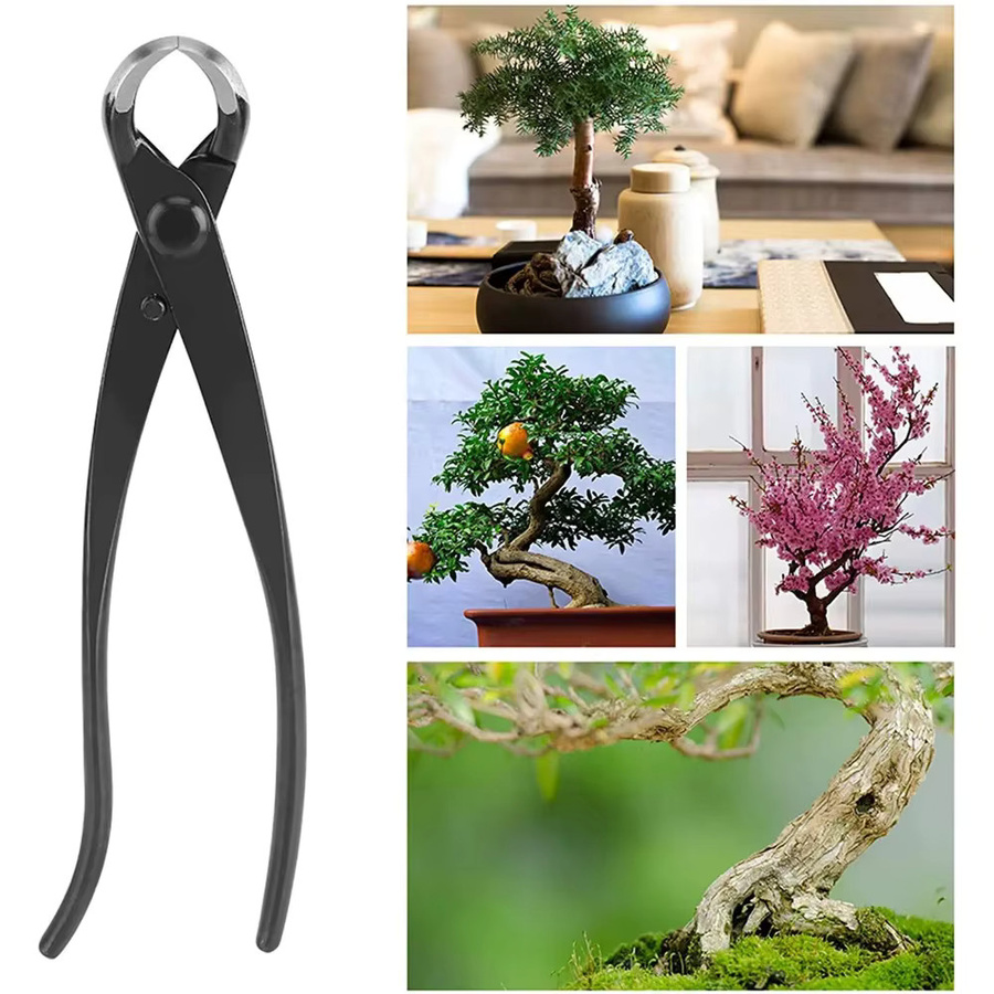 Skeyo Konkaver Knopfschneider aus Kohlenstoffstahl in Schwarz, 210 mm Bonsai-Werkzeug - Bild 2