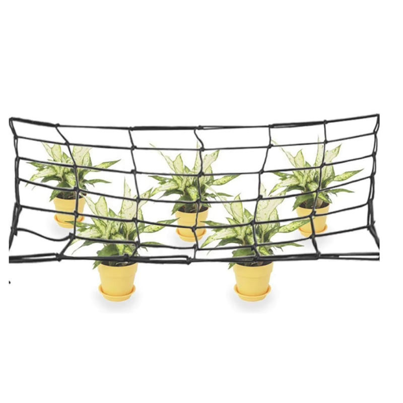 Schwarzes Trellis Garten Spalier als elastische Scrog Schutzhülle für Obstbäume und Pflanzen zur Unterstützung beim Wachsen, Breite: 40 cm - Bild 4