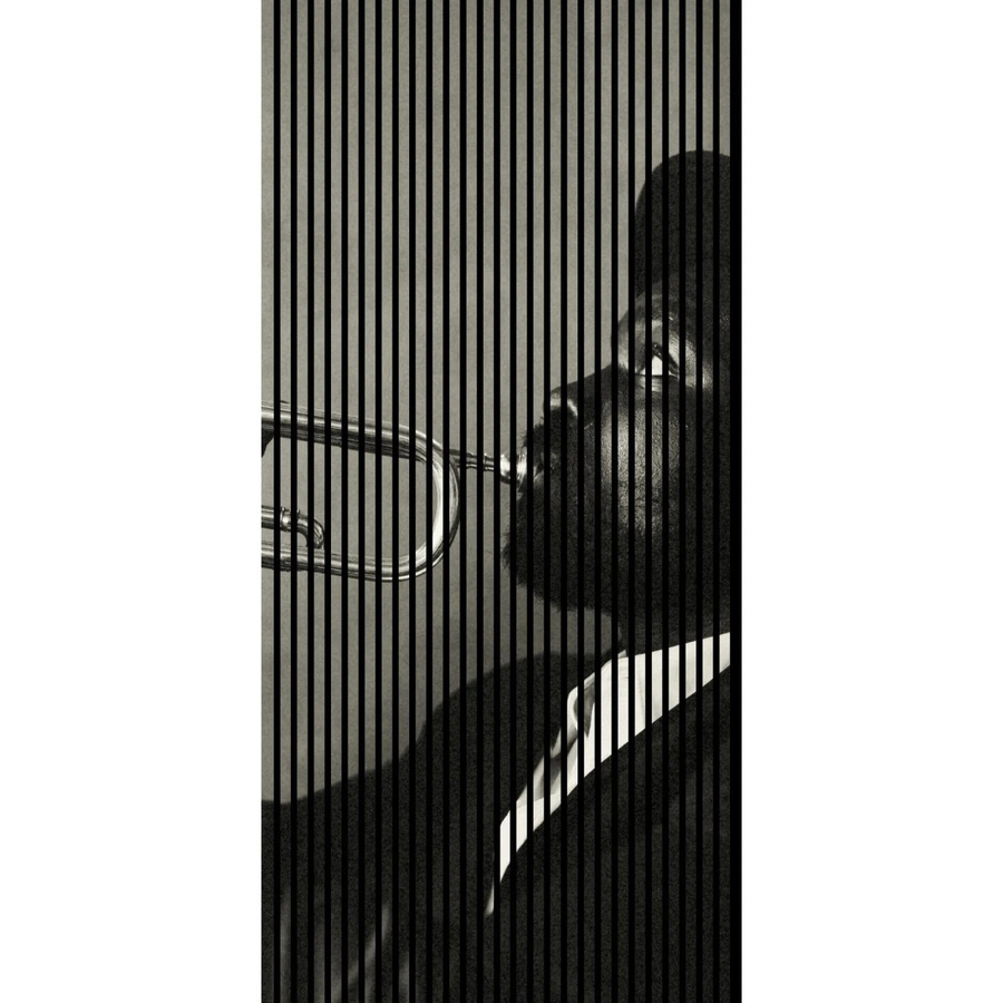 FN Acustico Akustikplatte Jazz 1 in Bunt, foliert mit PET und MDF, H x B x T: 2.400 x 113,3 x 1,9 cm - Bild 2