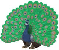 Schleich Farm World Pfau Spielfigur in Blau und Bunt / Mehrfarbig - Bild 1