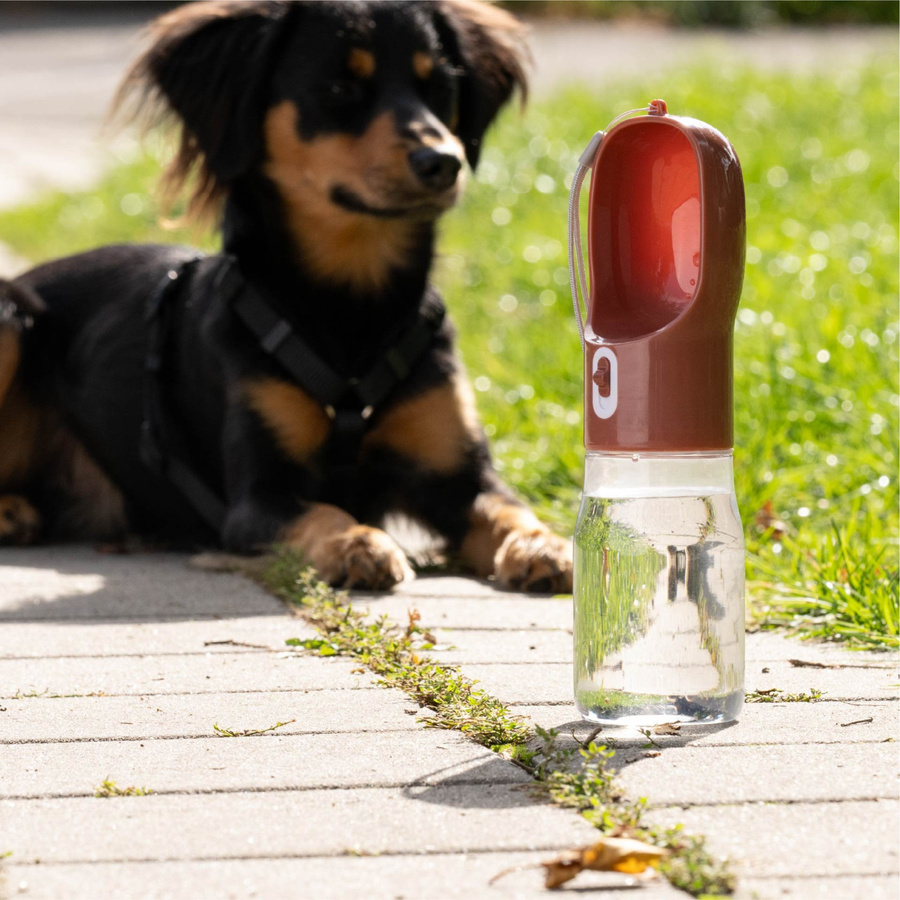 Fackelmann Our Pets Hundetrinkflasche in Transparent, Rot, Grau und Weiß mit 0,75 l - Bild 2