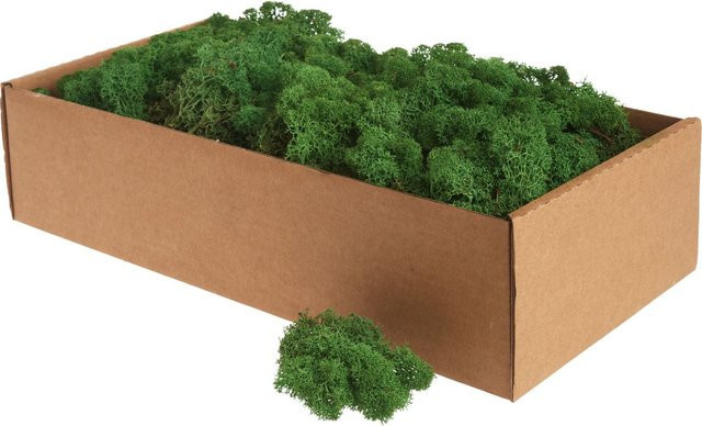 Islandmoos von Othmar Decorations in Dunkelgrün, 400 g - Bild 1