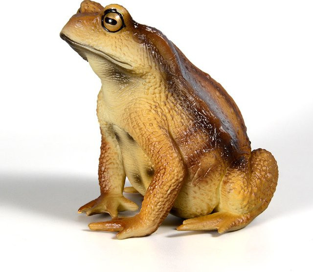 XIALIBAOMOWAN Amphibien-Frosch-Figur, Insektenmodell, Actionfiguren - Bild 1