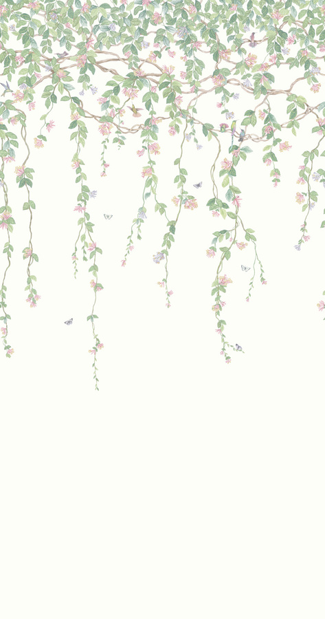 Cole & Son Tapete Hummingbirds Flora in Blush Sage/Mulberry auf Cream, mehrfarbig und grün - Bild 1