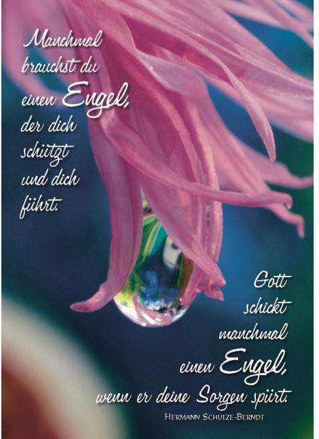 Manchmal brauchst du einen Engel Buch vom Kawohl-Verlag in Pink für Erwachsene - Bild 1