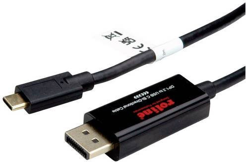 Roline USB-C auf DisplayPort Adapter Schwarz 4K UHD 2 m - Bild 1
