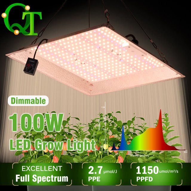 GRAXGROW 100 W Vollspektrum-Wachstumslicht Quantum-Board mit einstellbarem Spektrum und IP65 Wasserdichtigkeit für dein Gewächshaus - Bild 1