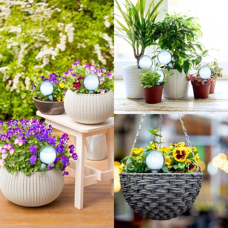 MTMA Automatischer Kunststoff-Bewässerungsball für Gartenpflanzen, Sukkulenten, Blumen und Bonsai in Grün - Bild 4