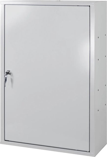 PROREGAL Werkzeugwandschrank aus Stahl mit Tür und 1 Fachboden, Lichtgrau, H x B x T: 75 x 50 x 20 cm - Bild 1