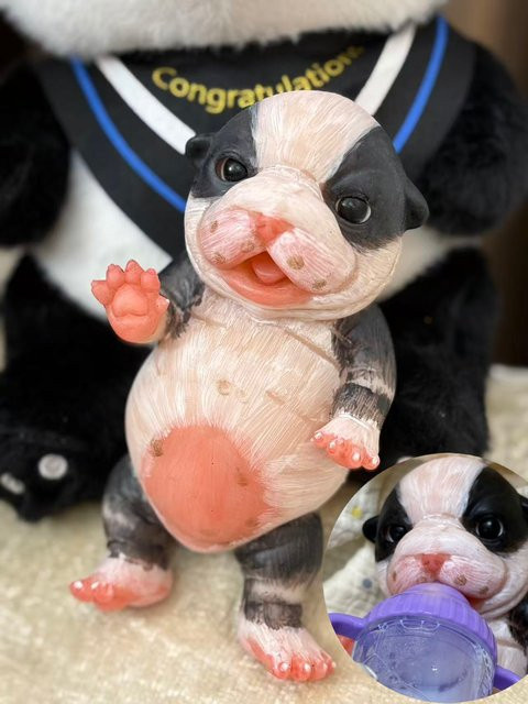 Aizwa1 Hund und Schaf, Silikon-Reborn-Puppe, Weiches Silikon-Tierspielzeug - Bild 1