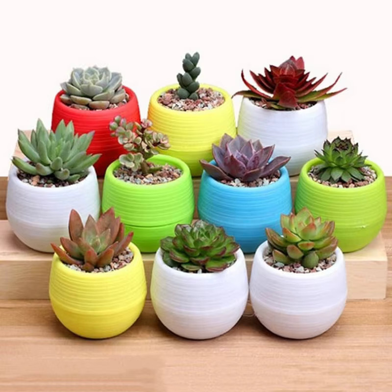 Blumentopf Set von IFITU PUBO aus Kunststoff in Grün und Multicolour für Sukkulenten und Zimmerpflanzen - Bild 3