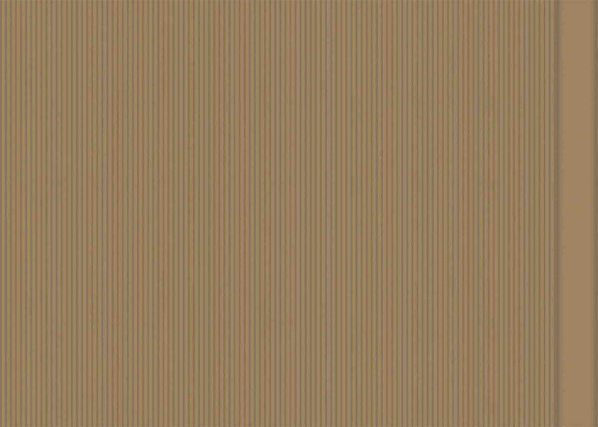 Élitis Tapete Colonne RM 1044 15 in Beige mit abstraktem Streifenmuster - Bild 1