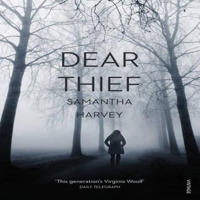 Lieber Dieb von Samantha Harvey, Taschenbuch - Bild 1