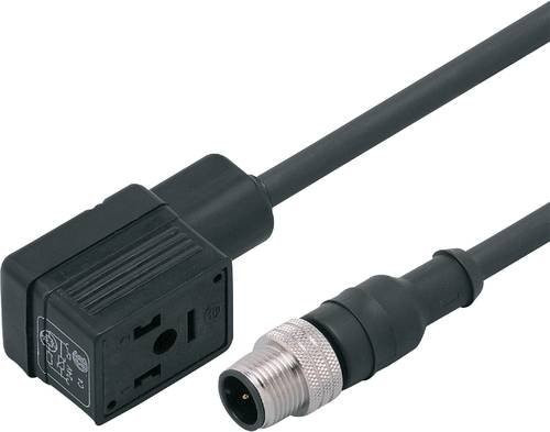 ifm Electronic Verbindungskabel E11424 in Schwarz - Bild 1