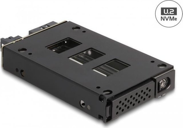 Delock Slim Mobiles Speicher-Rack Wechselrahmen für SATA und NVMe/M.2 in Schwarz und Silber - Bild 1