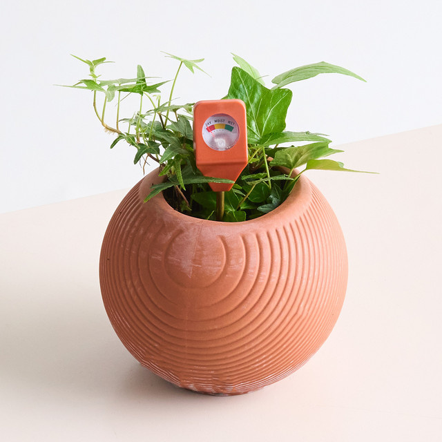Kikkerland Garten-Hydrometer - Bild 1