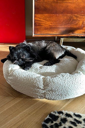 OBI Hundebett und Katzenbett rund aus Microfaser und Bouclé in Weiß, Durchmesser: 65 cm - Bild 1