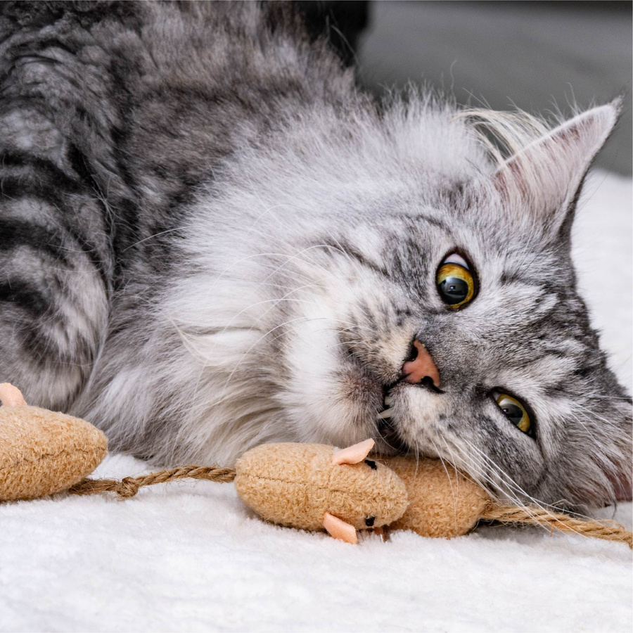 Fackelmann Our Pets Maus, Katzenspielzeug, 3-teilig - Bild 2