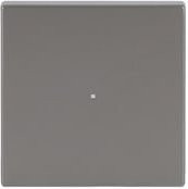 Busch-Jaeger Wippe eds pur Edelstahl Silber - Bild 1