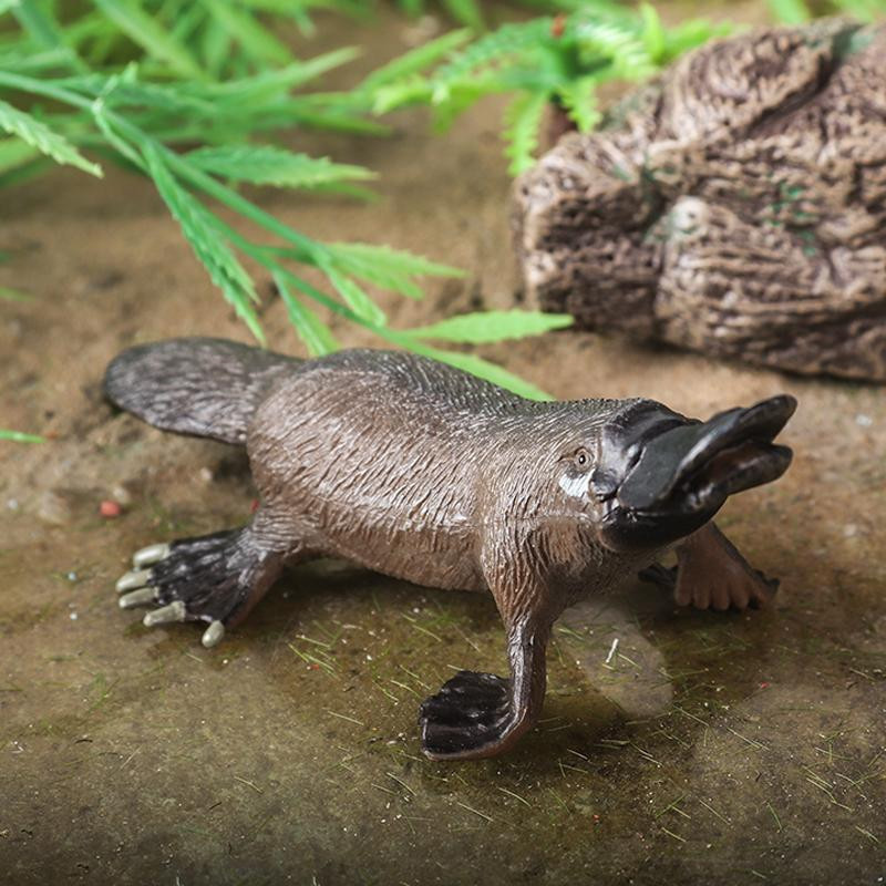 Oenux Klassische Australische Wildtiere Kängurus Koala Modell Figur 3-6 Jahre - Bild 2