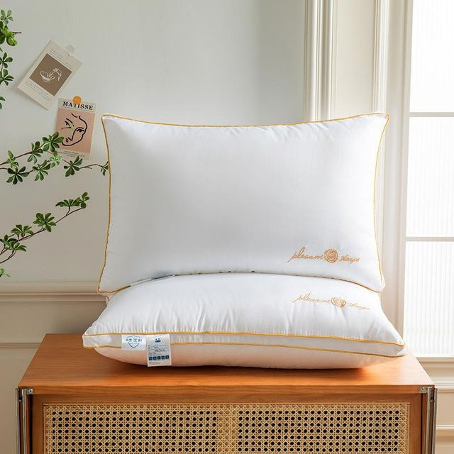 Yiran Furniture Kissenkerne Paar Weiß aus Polyester B/H: 48 x 74 cm - Bild 1