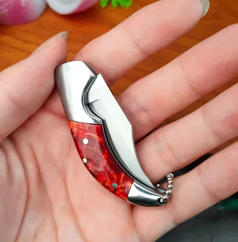 WXCOO Mini Edelstahl Klappmesser mit Kunstharzgriff als Schlüsselanhänger und Obstschälmesser - Bild 4