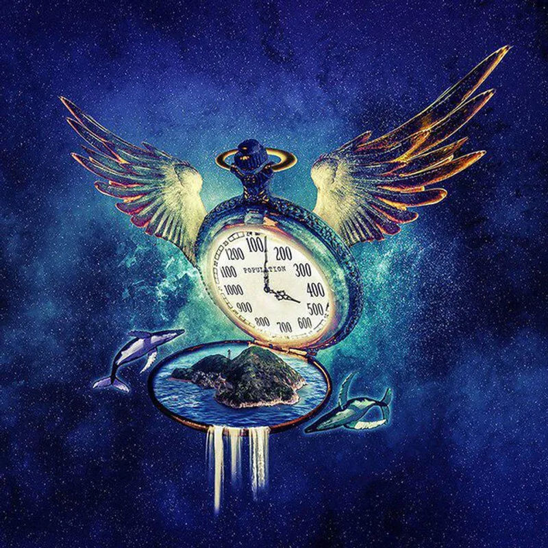 FIYO Diamond Painting Set Landschaft mit Delfin und Uhr als 5D Stickerei mit Strass-Inkrustation, mehrfarbig, B/B: 30 x 30 cm - Bild 1