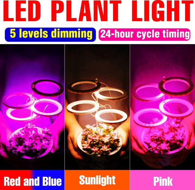 Dimmbares LED-Wachstumslicht mit Vollspektrum und 24-Stunden-Timer für Zimmerpflanzen und Sukkulenten in Weiß - Bild 1