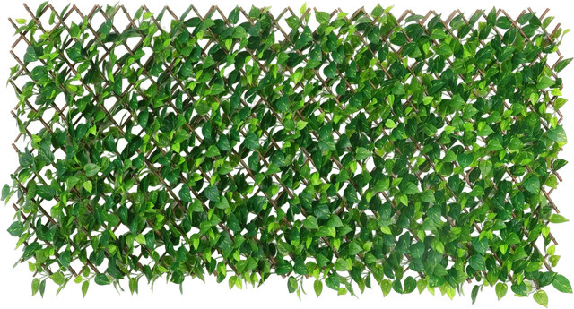 Flexible Pothos Pflanzenwand Melvin I von Aplanta in Grün, Breite: 130-200 cm - Bild 1
