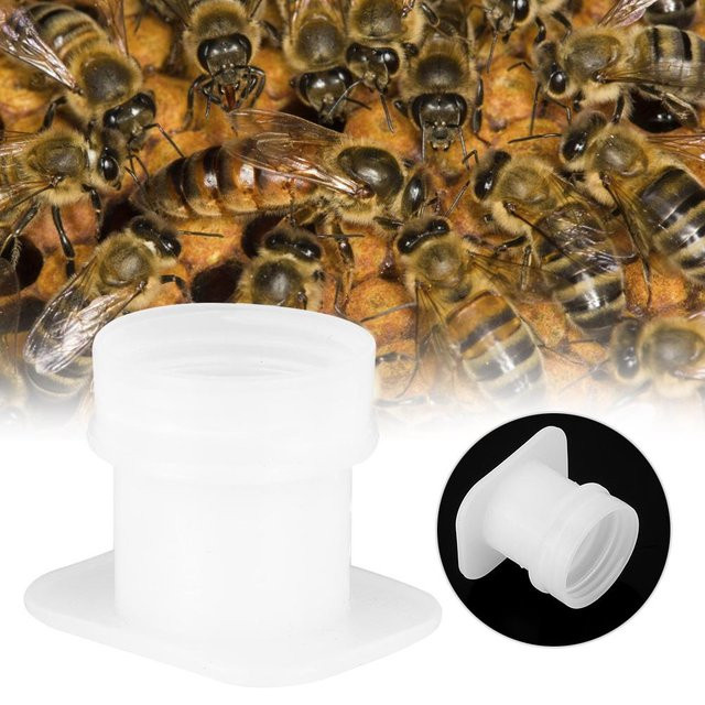 10er Set mfySpace Bienen Tränken aus Kunststoff für die Imkerei in Schwarz - Bild 1