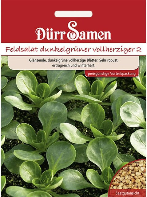 Dürr Feldsalat Samen Dunkelgrüner Vollherziger Saatgut Vorteilspack 7 g - Bild 1
