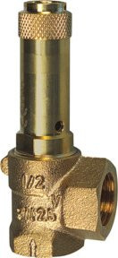 Riegler Eck-Sicherheitsventil für Flüssigkeiten aus Messing in Gold, G 3/4, Ansprechdruck 1,3 bar - Bild 1