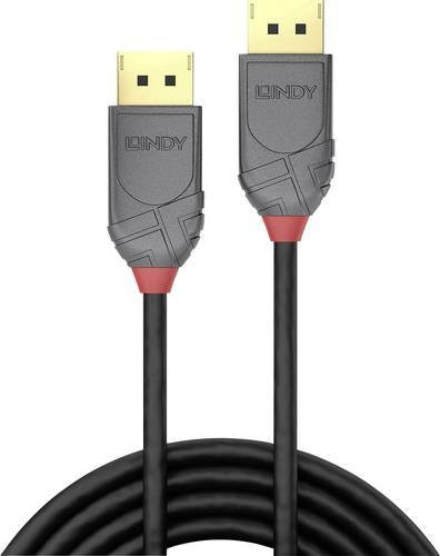 Lindy DisplayPort Anschlusskabel Schwarz 3,00 m - Bild 1