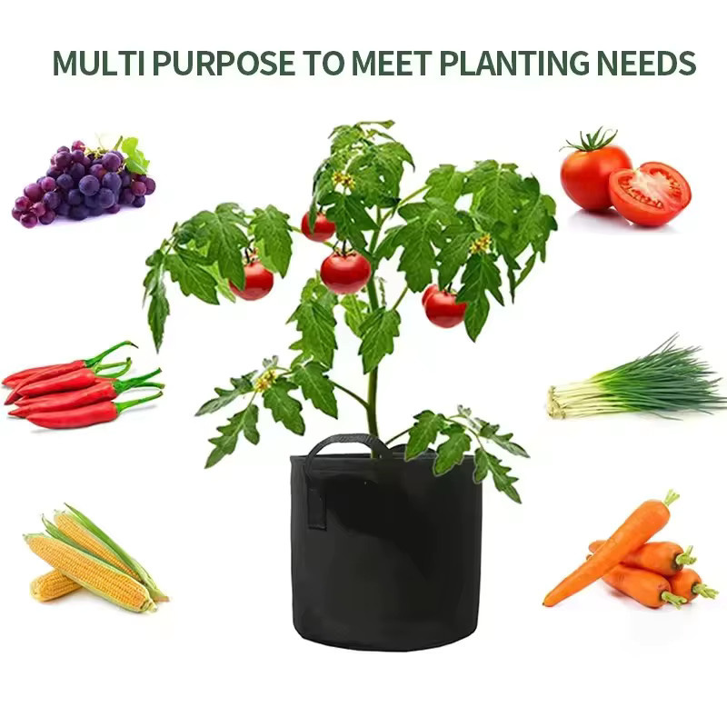 Schwarze Filz-Wachstumsbeutel für Gemüse und Blumen, 5 Gallonen, verdickter Gartenstoff-Pflanztopf für Gewächshaus und Garten - Bild 6