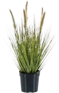 Künstliches Lampenputzergras Paulin von Aplanta mit einzelnen Halmen, Höhe: 45 cm - Bild 1