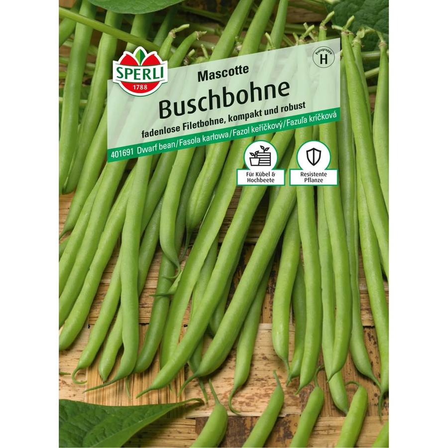 Sperli Buschbohne Mascotte Gemüse - Bild 2