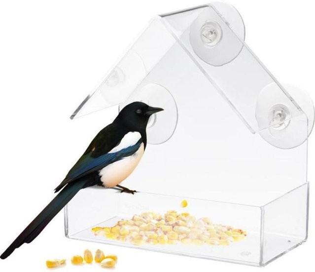 TOMTOP JMS Vogelfutterspender aus transparentem Acrylglas - Bild 1