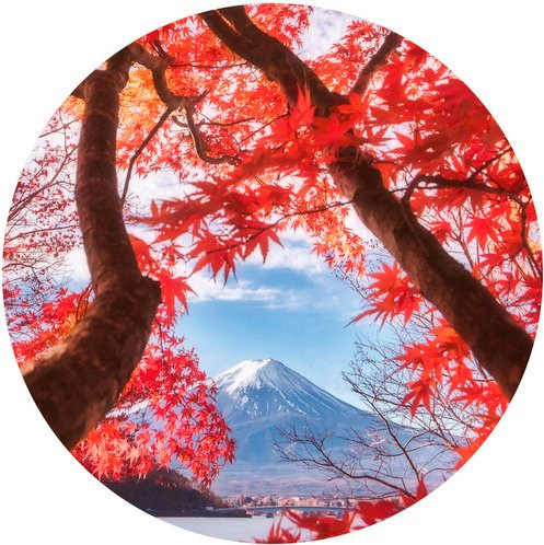 K&L Wall Art Runde Vliestapete Berg Vulkan Fuji Herbst Natur Motiv, mehrfarbig, matt, B: 236 cm, H: 236 cm - Bild 1