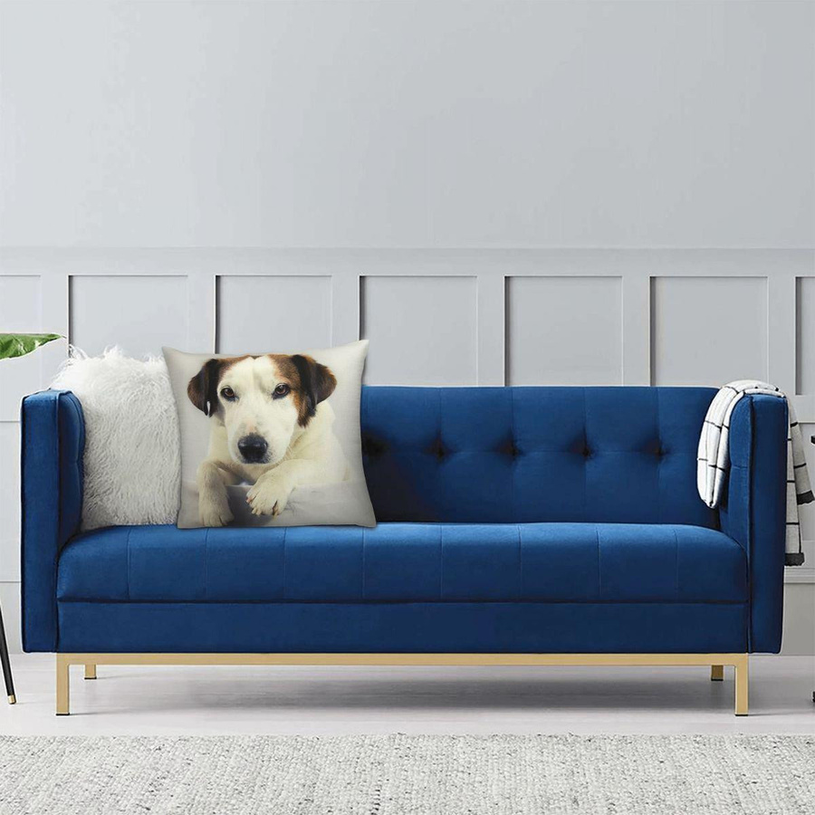 Kissenbezug mit Jack Russell Terrier Fotodruck aus Peach Skin für Sofa und Wohnzimmer, B/B/H: 18 x 18 x 18 cm - Bild 2