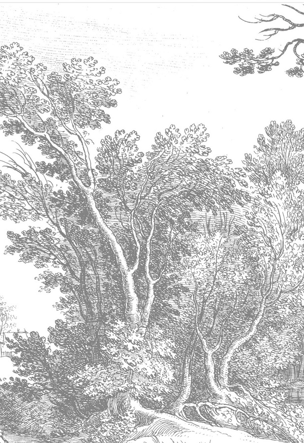 KEK Amsterdam Mural Engraved Landscapes 3 Wandgestaltung in Schwarz Weiß Grau, Breite: 194,8 cm - Bild 1
