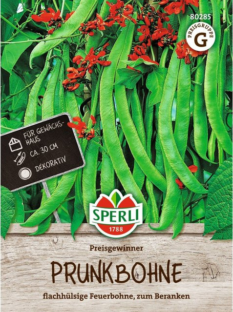 SPERLI Prunkbohnen-Samen Preisgewinner - Bild 1