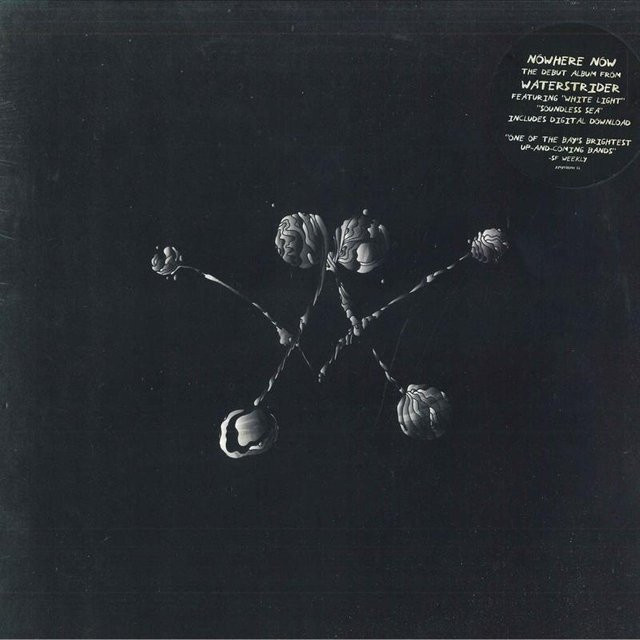 WATERSTRIDER - Nowhere Now LP Schallplatte auf Columbia Records, Rock, Grau, 2016 - Bild 1