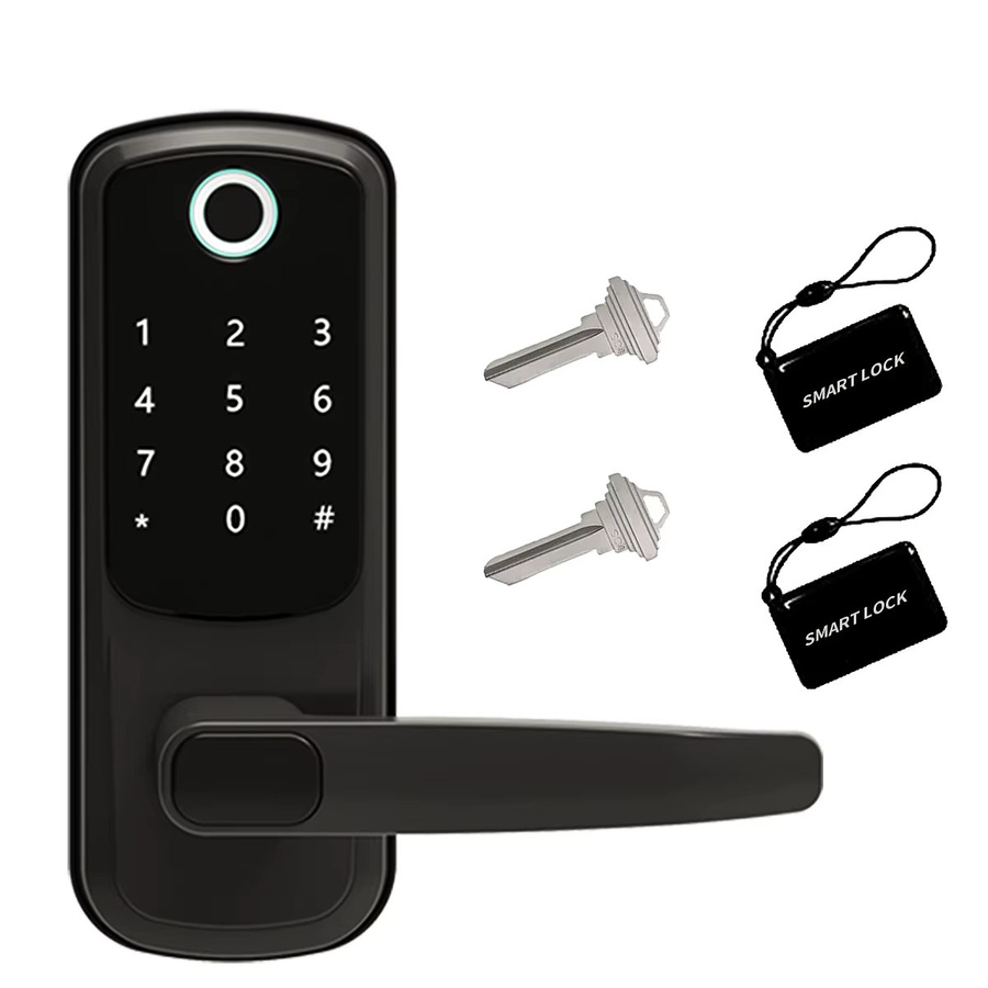 L.AOL.AU Wifi Smart Türschloss in Schwarz mit Fingerabdruck, Passwort, Smartcard und App-Steuerung - Bild 7