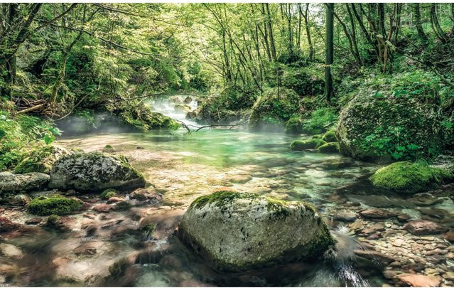 Komar Fototapete Vlies Tranquil Pool B: 400 cm, H: 250 cm - Bild 1