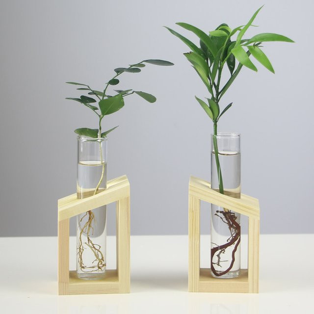 DOORSACCERY Hydrokultur-Pflanzenbehälter aus Glas mit Holzständer in Weiß und Transparent zur Desktop-Dekoration - Bild 1