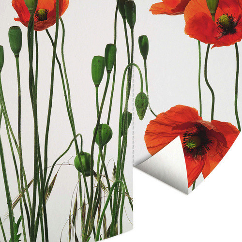 K&L Wall Art Vliestapete Kadam Runde Mohnblumen in Rot und Mehrfarbig, Matt - Bild 2