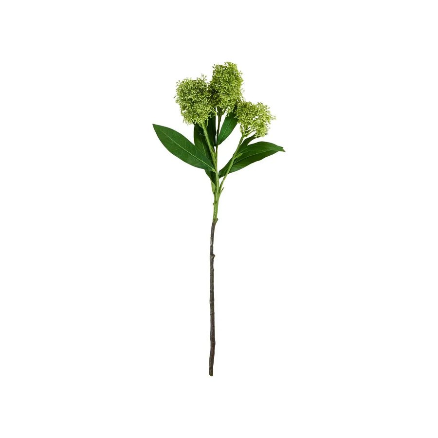 House Doctor Kunstzweig Skimmia in Grün - Bild 1